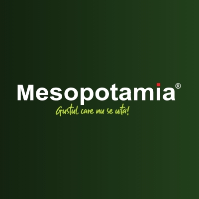 Mesopotamialogo